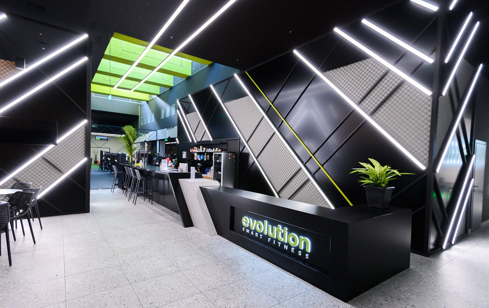 Evolution fitness